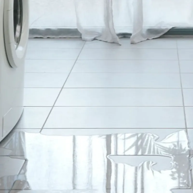 Appliance Leak Cleanup in Cheboygan County, MI