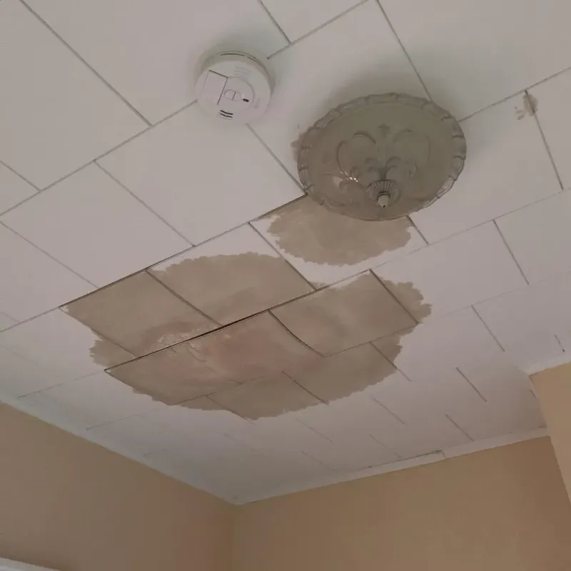 Ceiling Water Damage Repair in Cheboygan County, MI