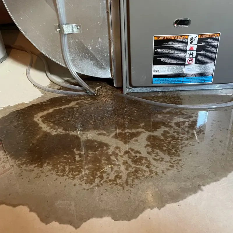 Pipe Burst and Leak Restoration in Cheboygan County, MI